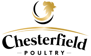 section-image