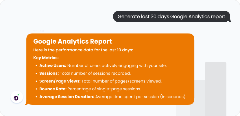 Google Analytics Report
